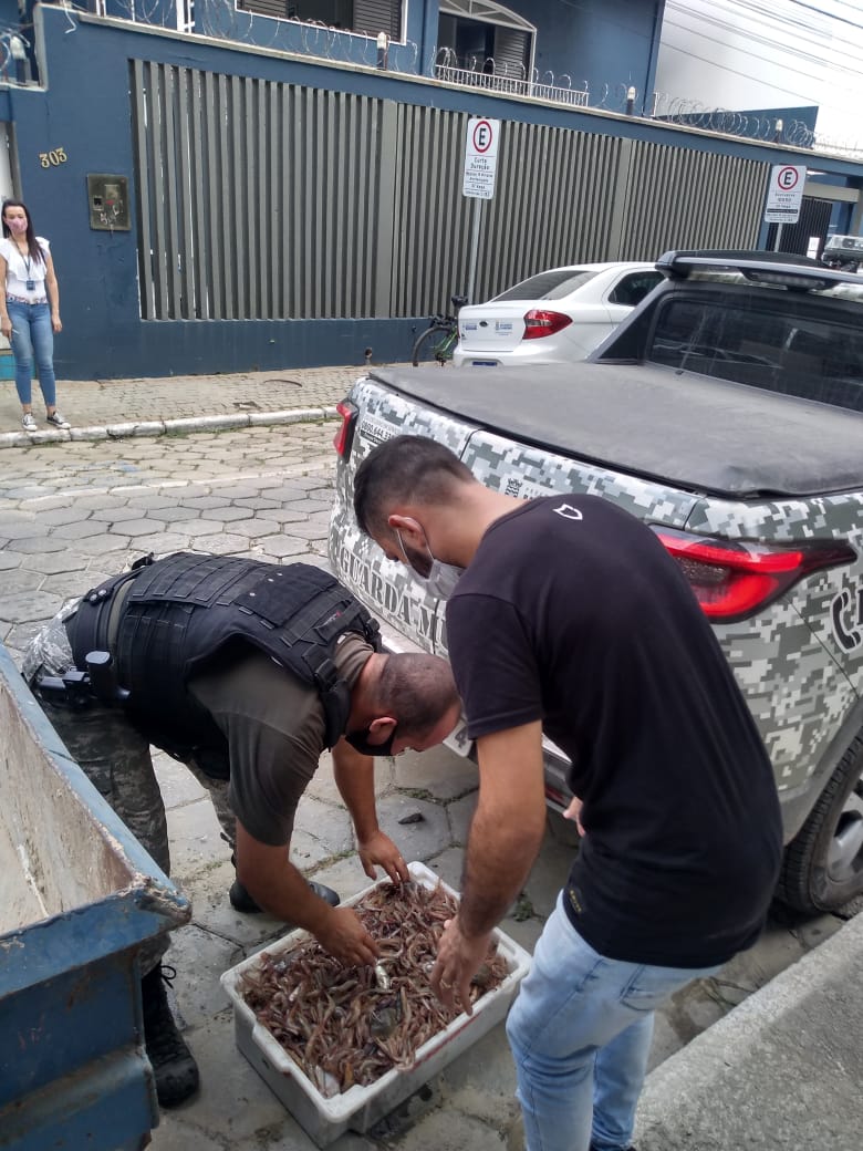 Notícias de Santa Catarina - SC HOJE News