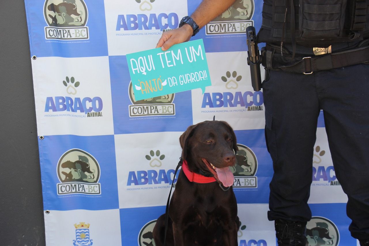 Notícias de Santa Catarina - SC HOJE News