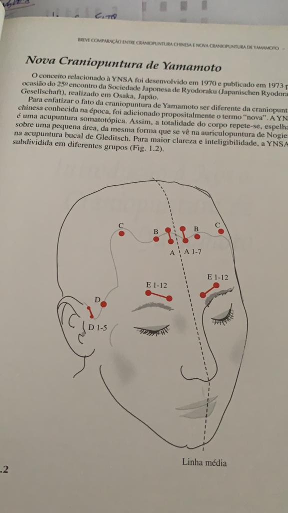 Notícias de Santa Catarina - SC HOJE News