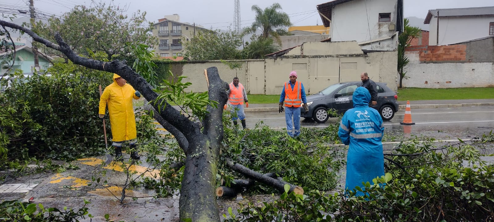 Notícias de Santa Catarina - SC HOJE News