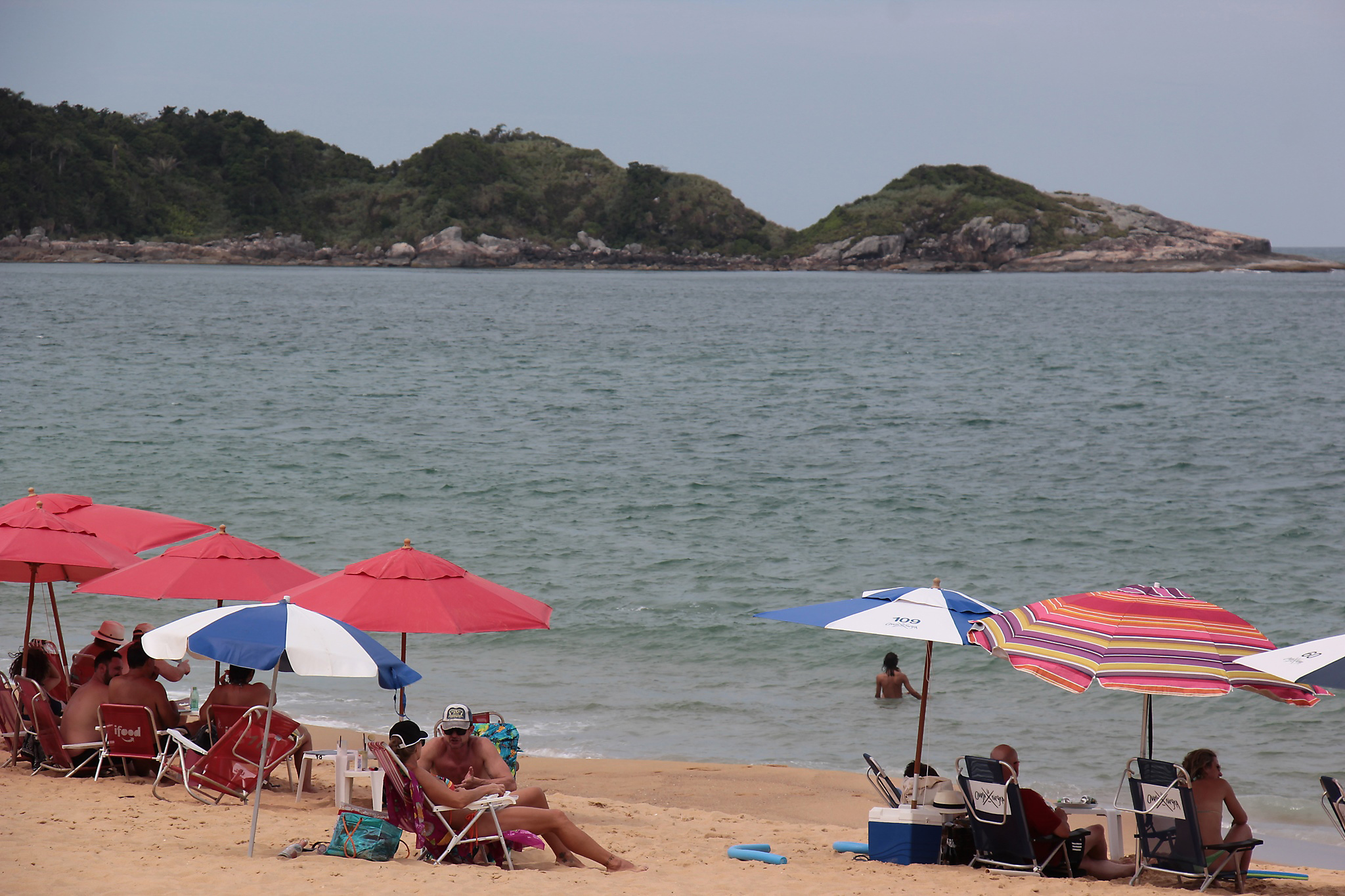 Notícias de Santa Catarina - SC HOJE News