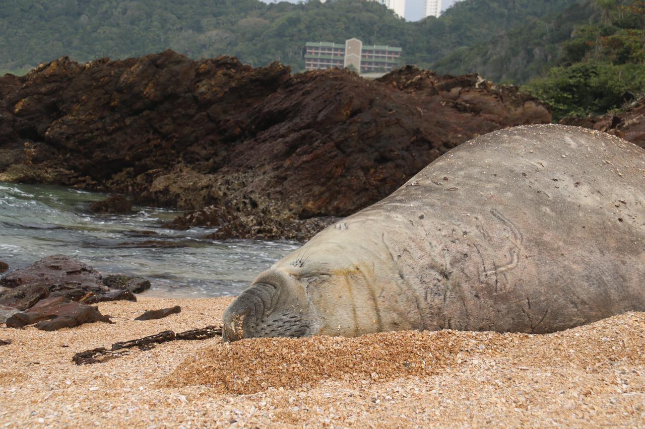 Notícias de Santa Catarina - SC HOJE News