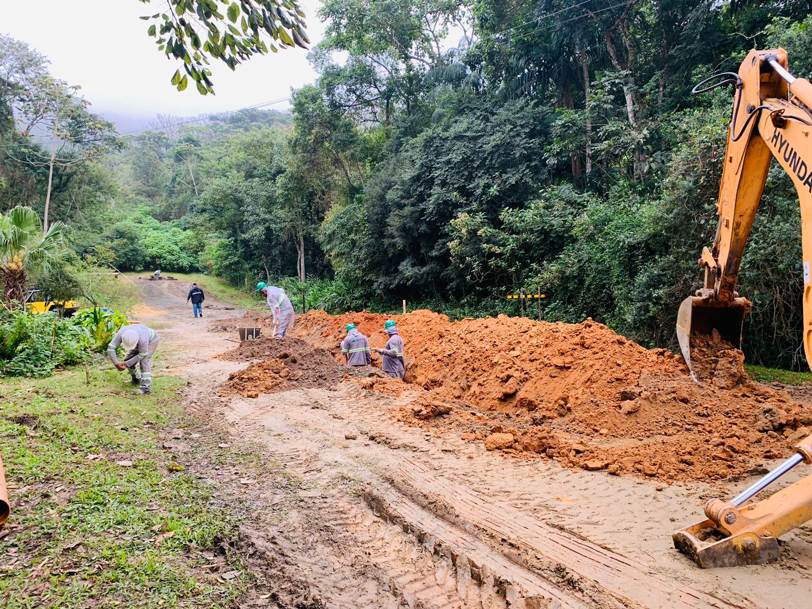 Notícias de Santa Catarina - SC HOJE News