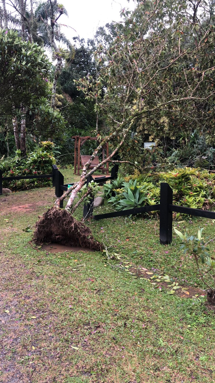 Notícias de Santa Catarina - SC HOJE News