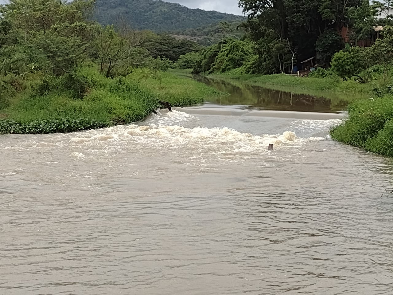 Notícias de Santa Catarina - SC HOJE News