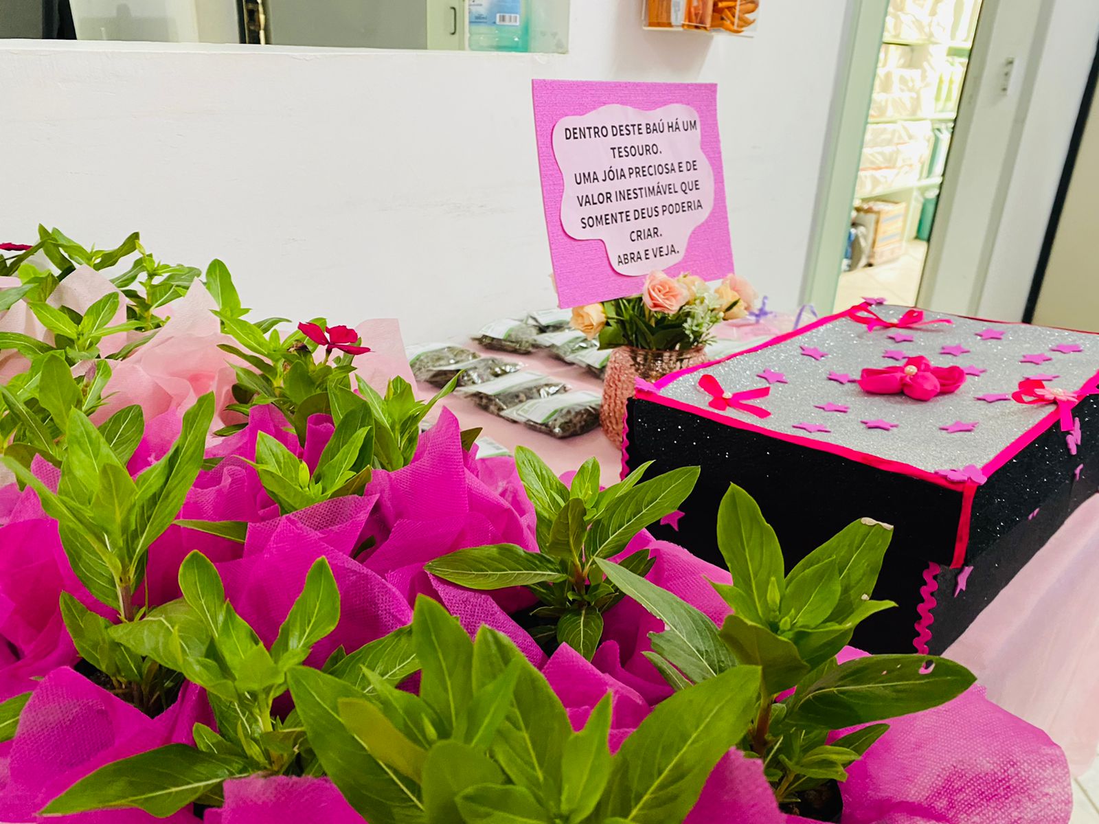 Prefeitura promove mutirão de mamografia em alusão ao Outubro Rosa neste sábado | SC Hoje News Notícias de Santa Catarina - SC HOJE News
