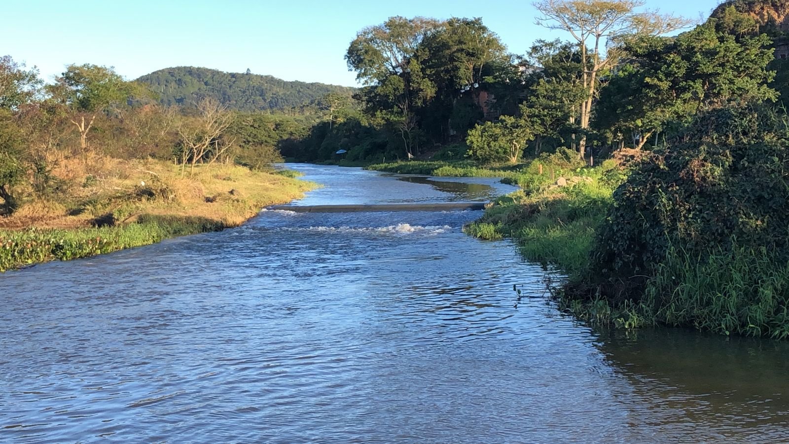 Notícias de Santa Catarina - SC HOJE News