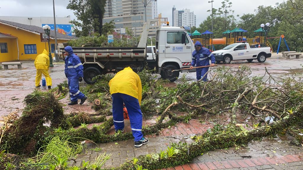 Notícias de Santa Catarina - SC HOJE News