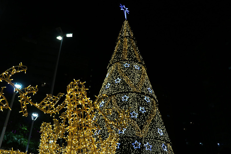 Notícias de Santa Catarina - SC HOJE News