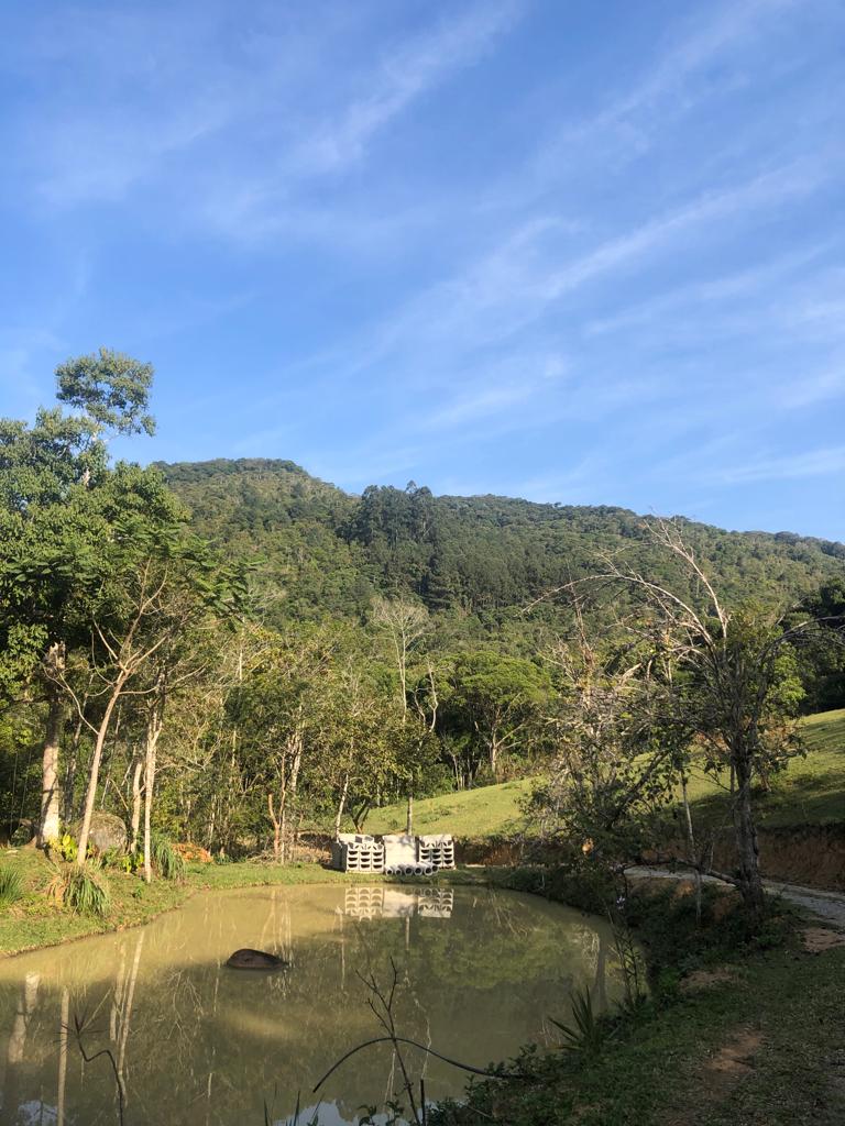 Notícias de Santa Catarina - SC HOJE News