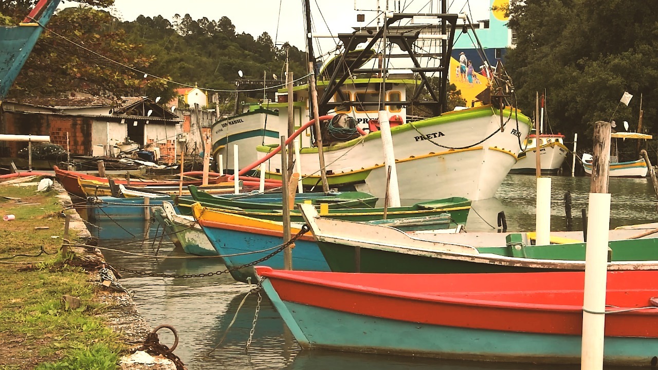 Notícias de Santa Catarina - SC HOJE News