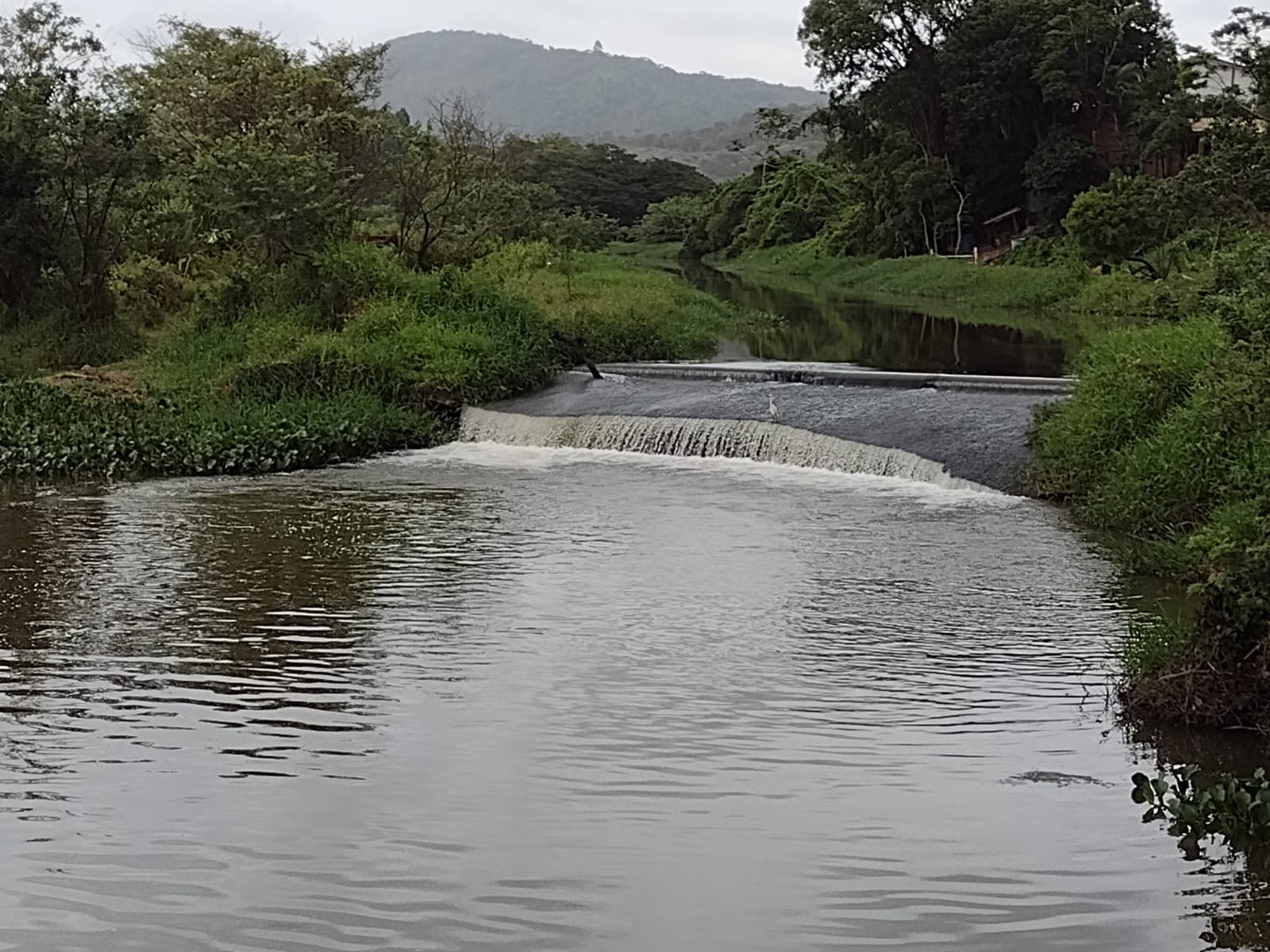 Rio Camboriú está com nível acima da média em mais uma semana | SC Hoje News Notícias de Santa Catarina - SC HOJE News