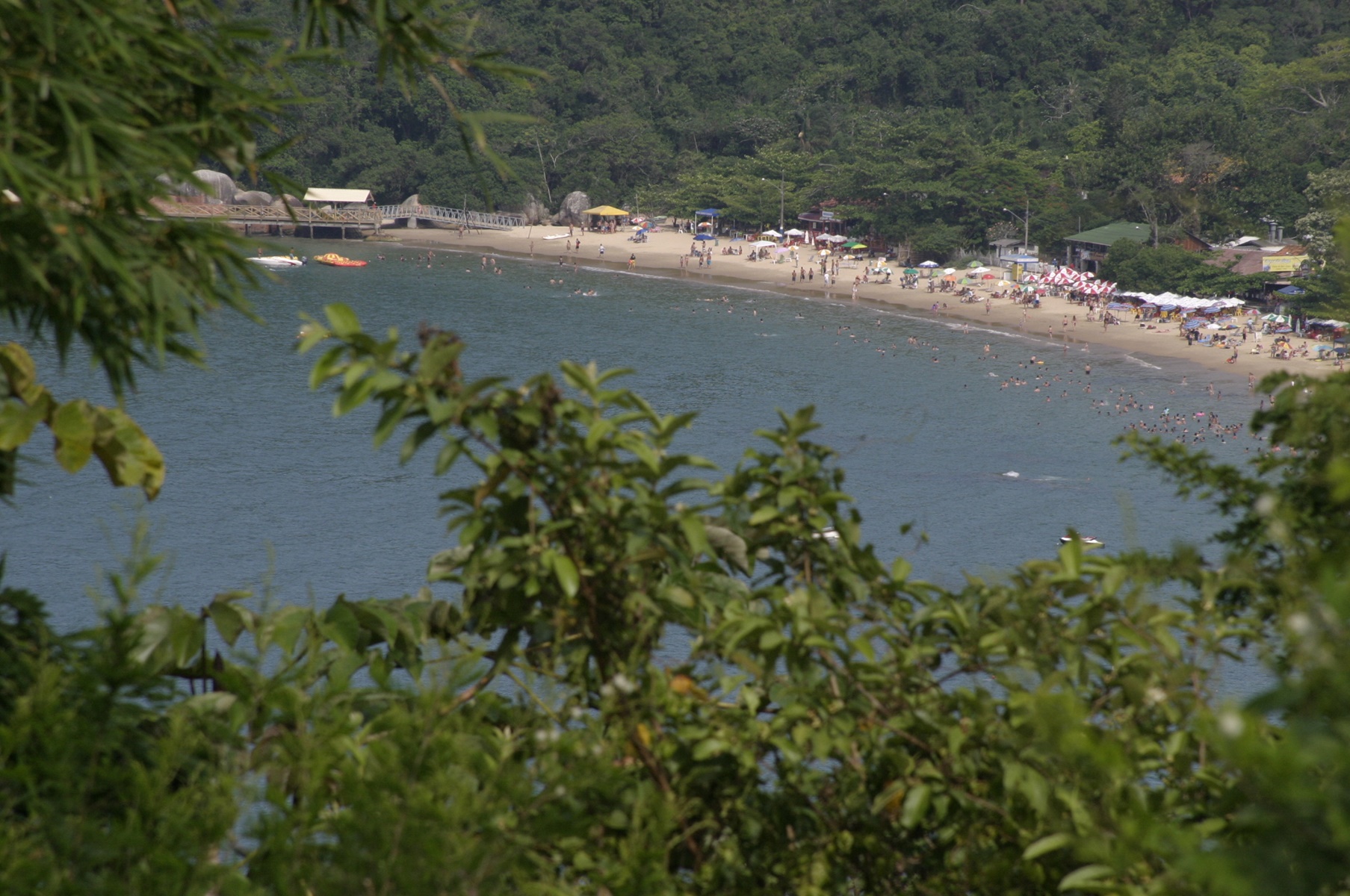 Notícias de Santa Catarina - SC HOJE News