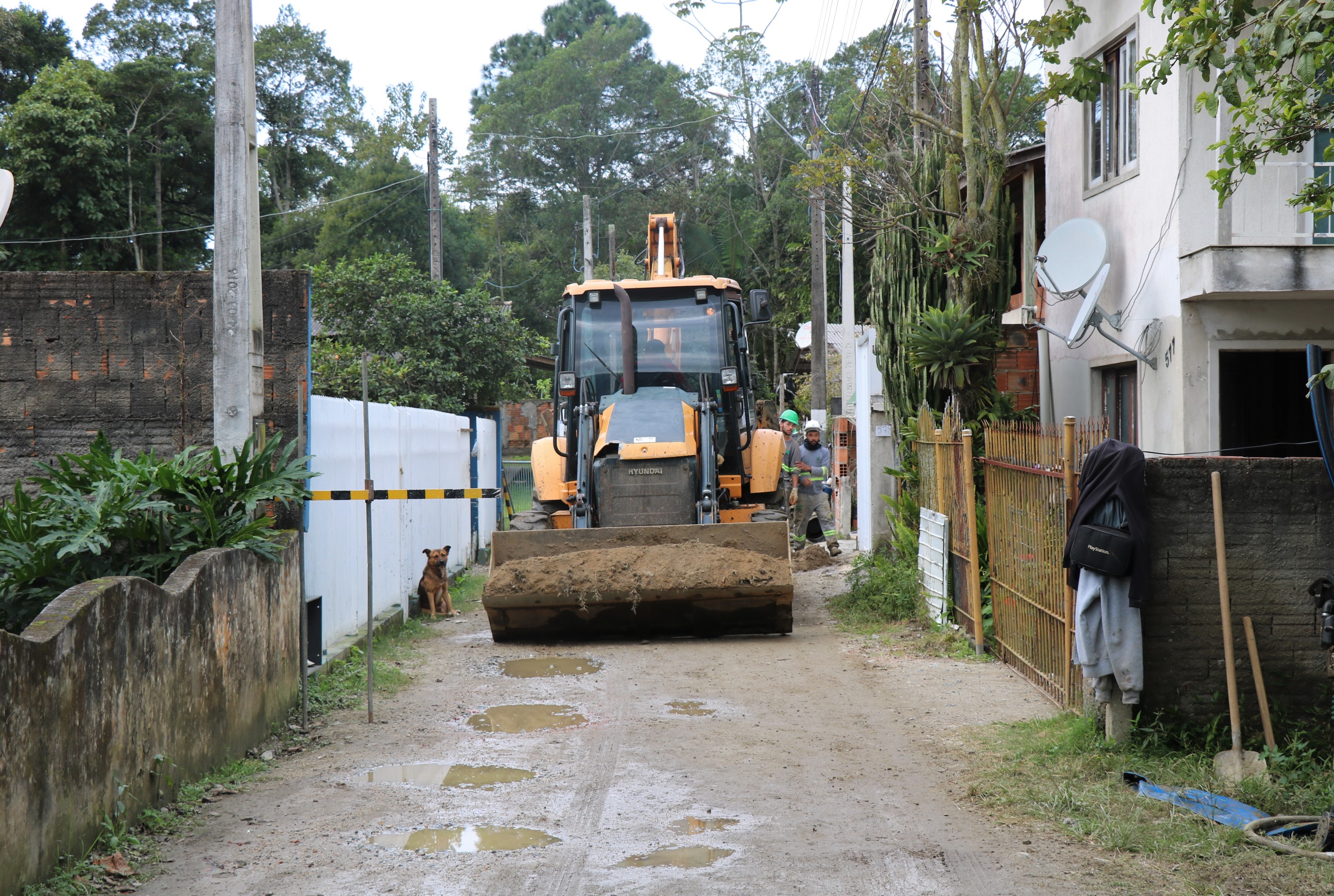 Notícias de Santa Catarina - SC HOJE News