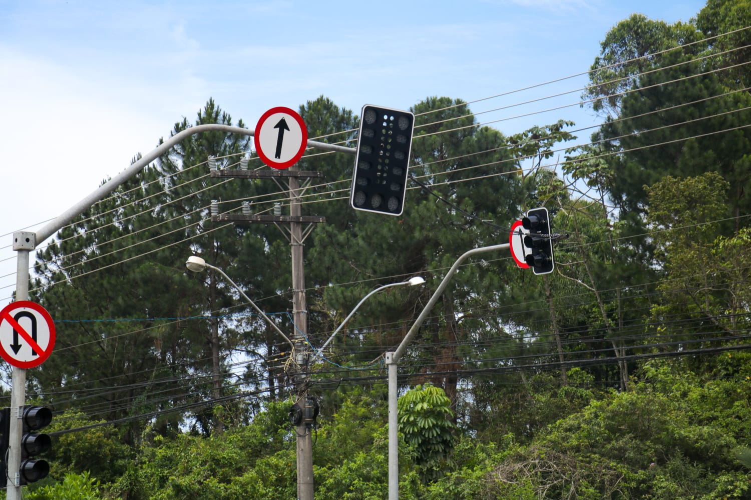 Notícias de Santa Catarina - SC HOJE News