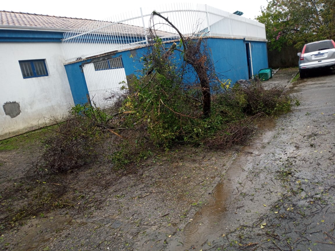 Notícias de Santa Catarina - SC HOJE News