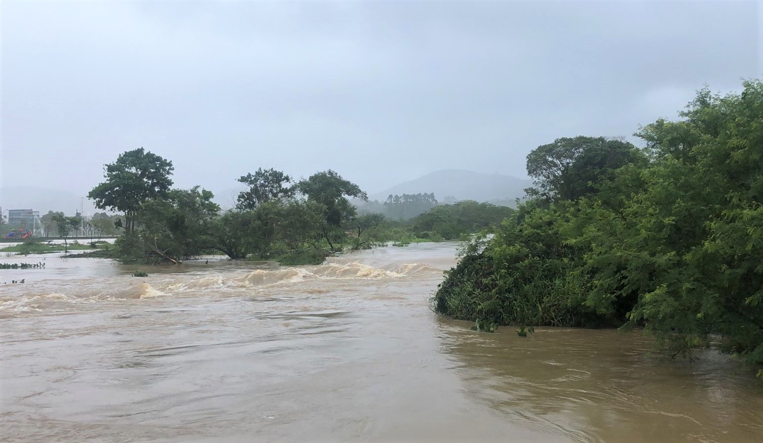 Notícias de Santa Catarina - SC HOJE News