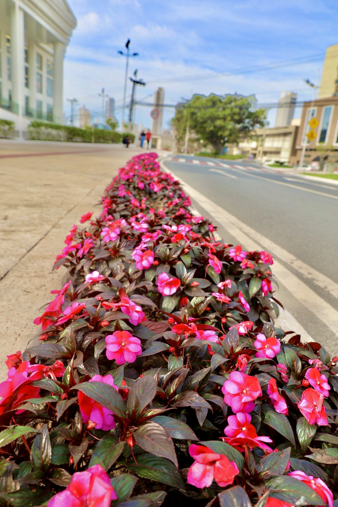 Notícias de Santa Catarina - SC HOJE News