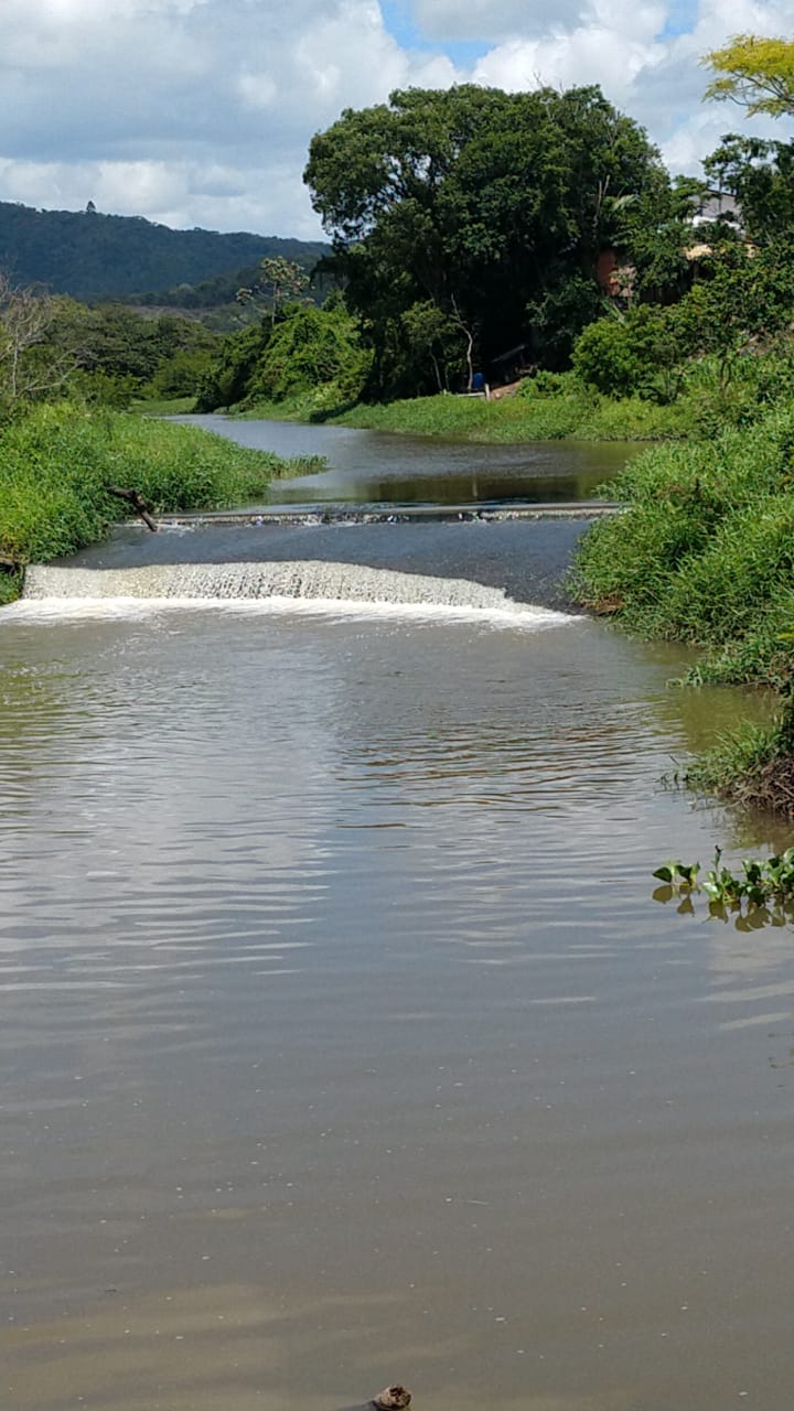 Notícias de Santa Catarina - SC HOJE News