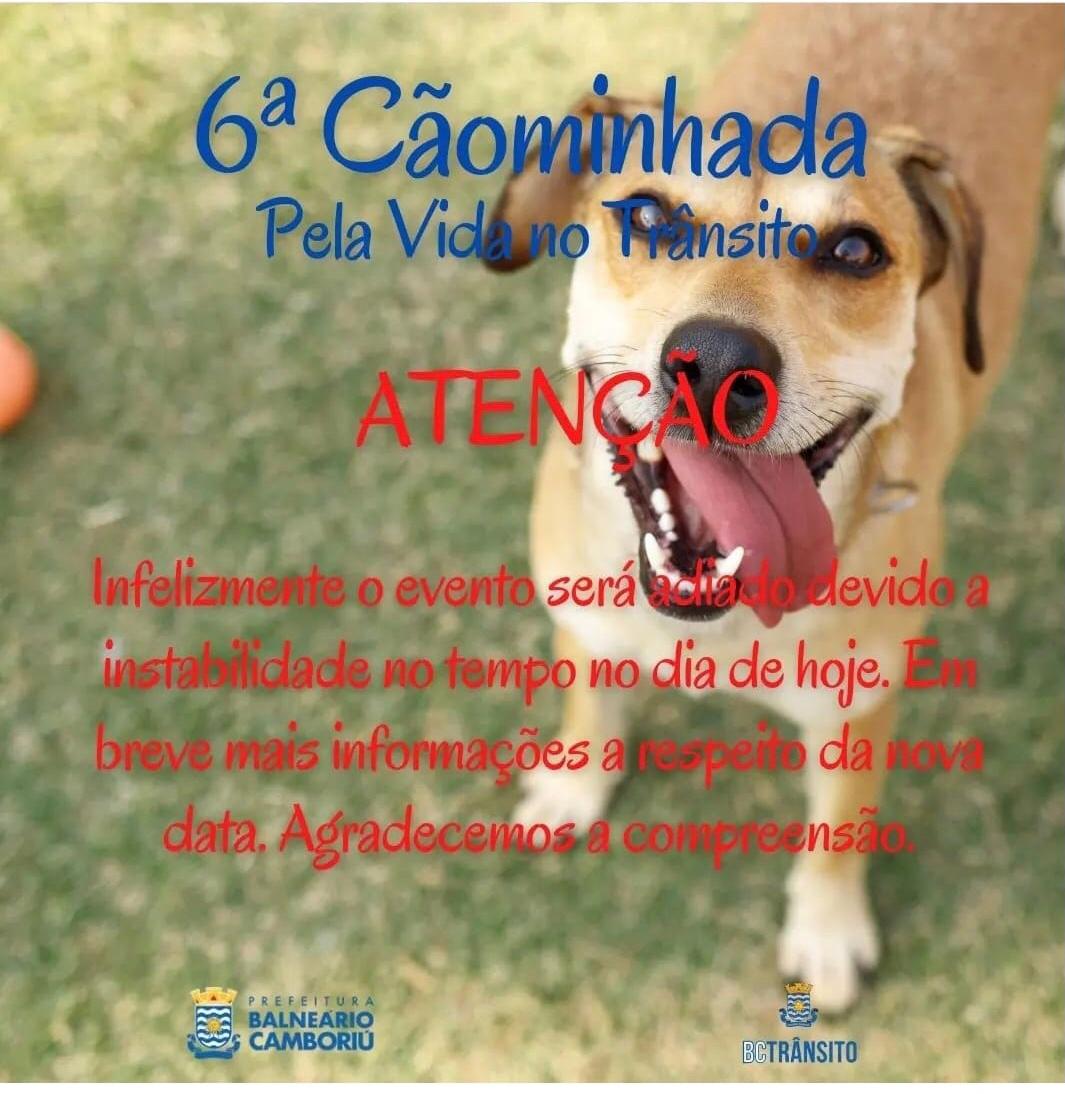 Instabilidade do tempo provoca adiamento da Cãominhada | SC Hoje News Notícias de Santa Catarina - SC HOJE News