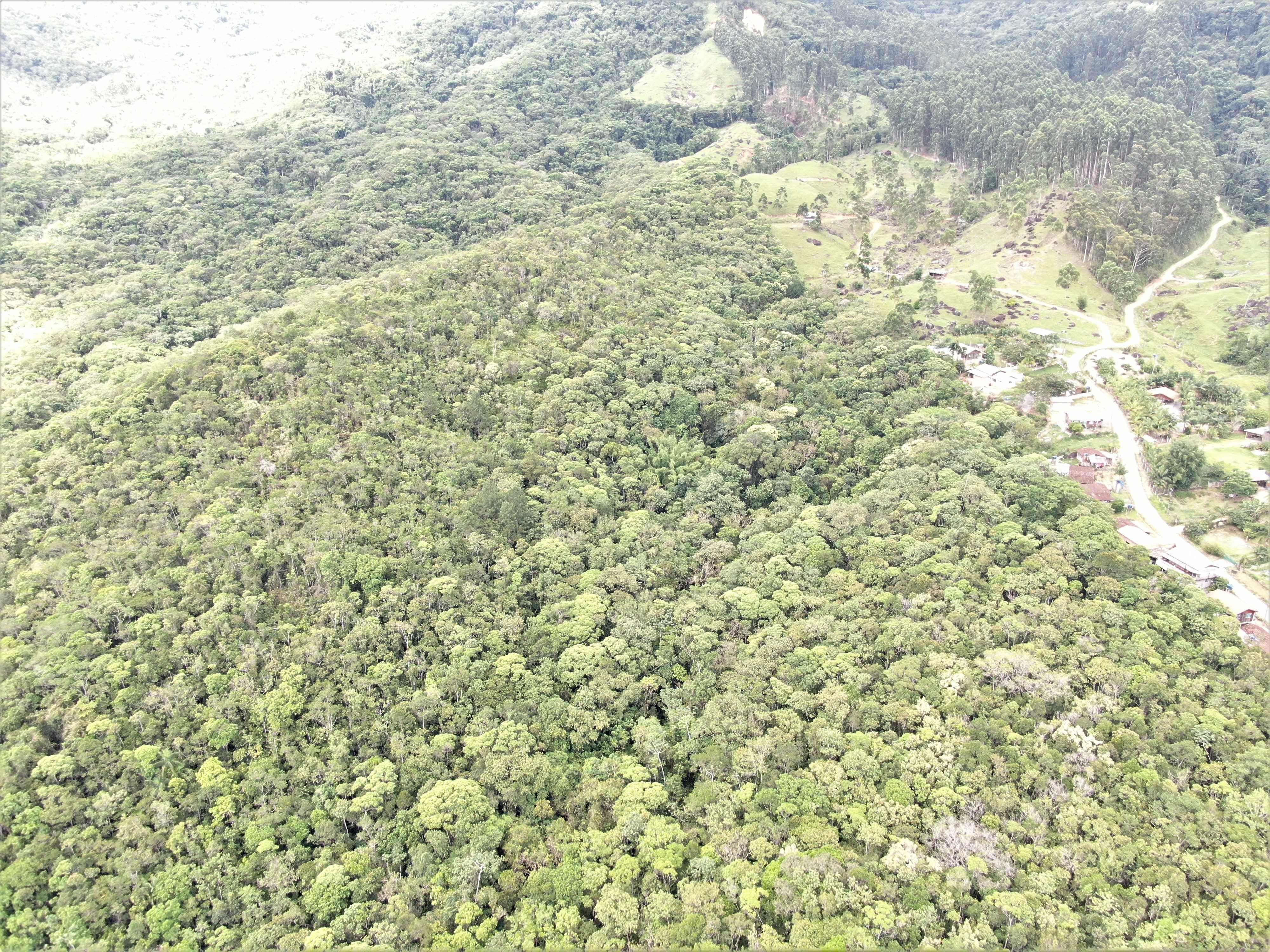 Notícias de Santa Catarina - SC HOJE News