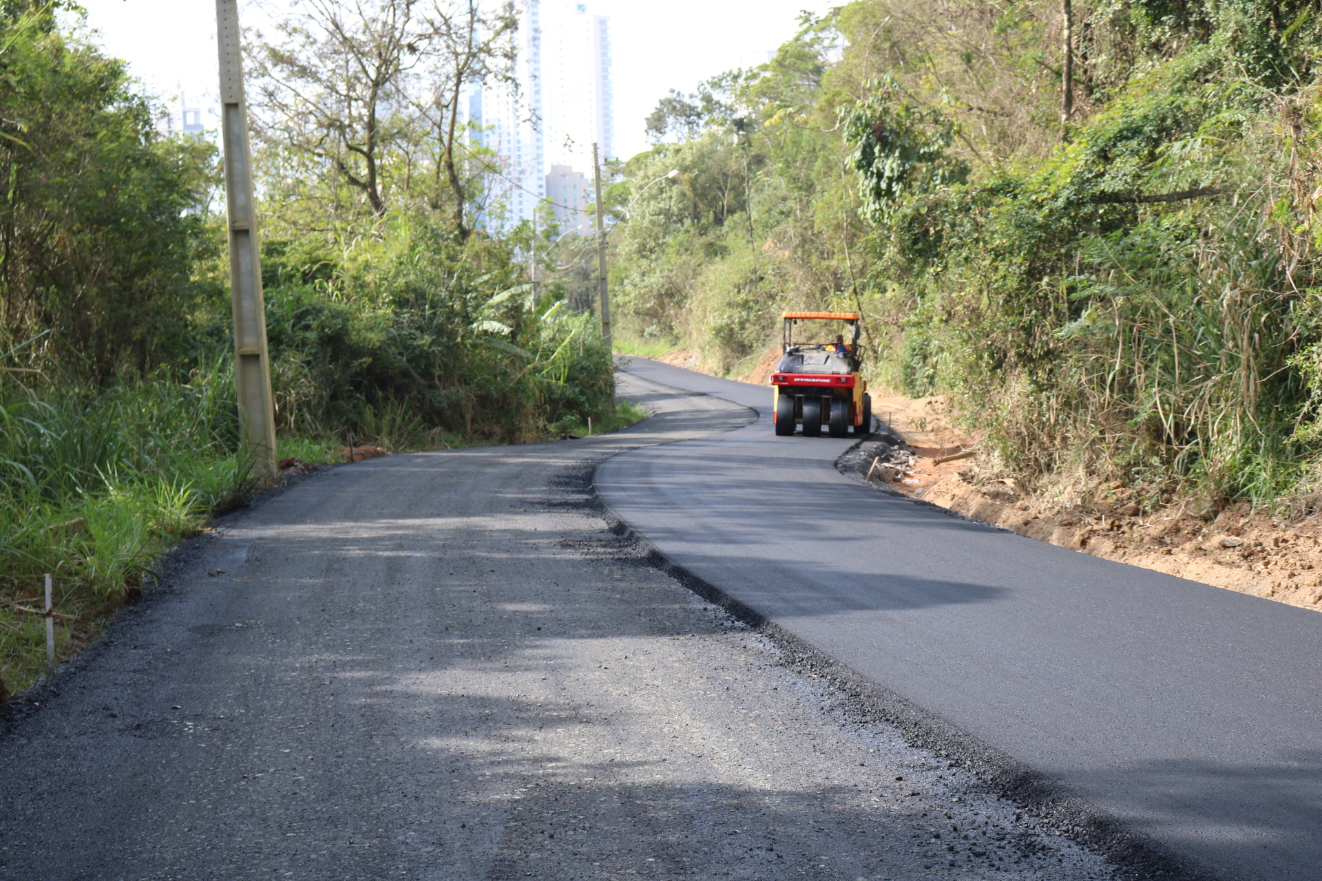 Notícias de Santa Catarina - SC HOJE News