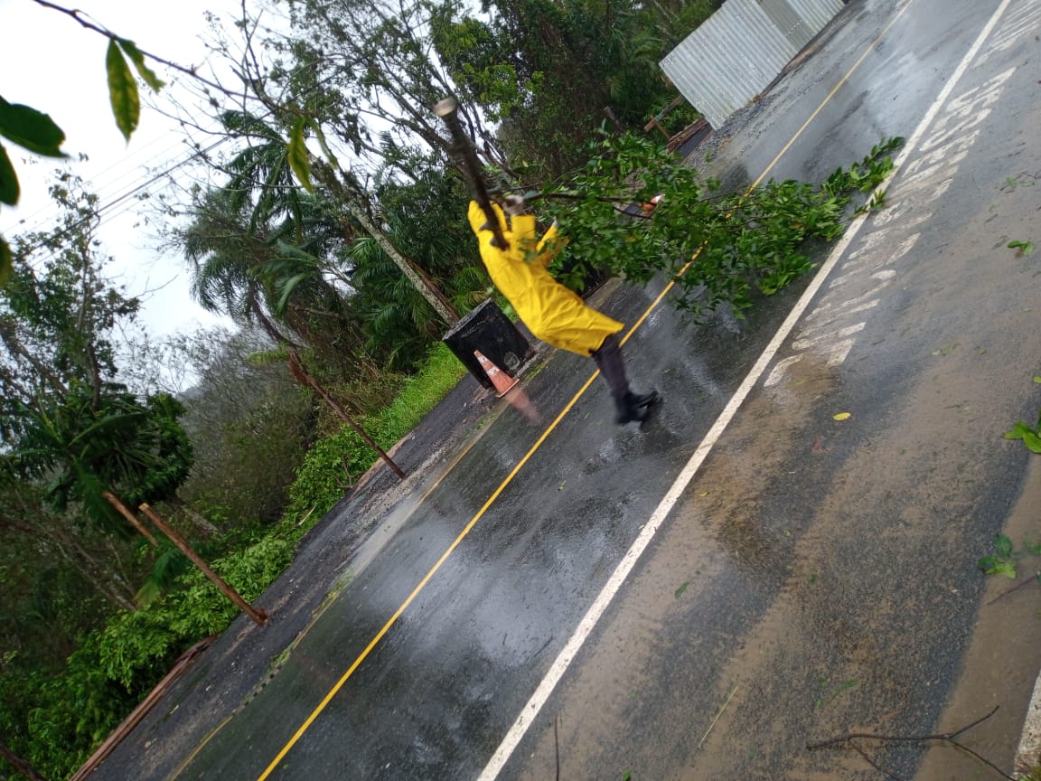 Notícias de Santa Catarina - SC HOJE News