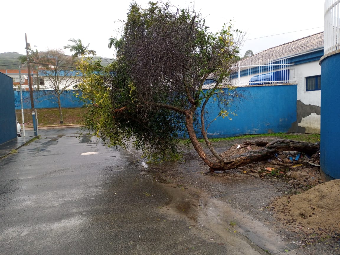 Notícias de Santa Catarina - SC HOJE News