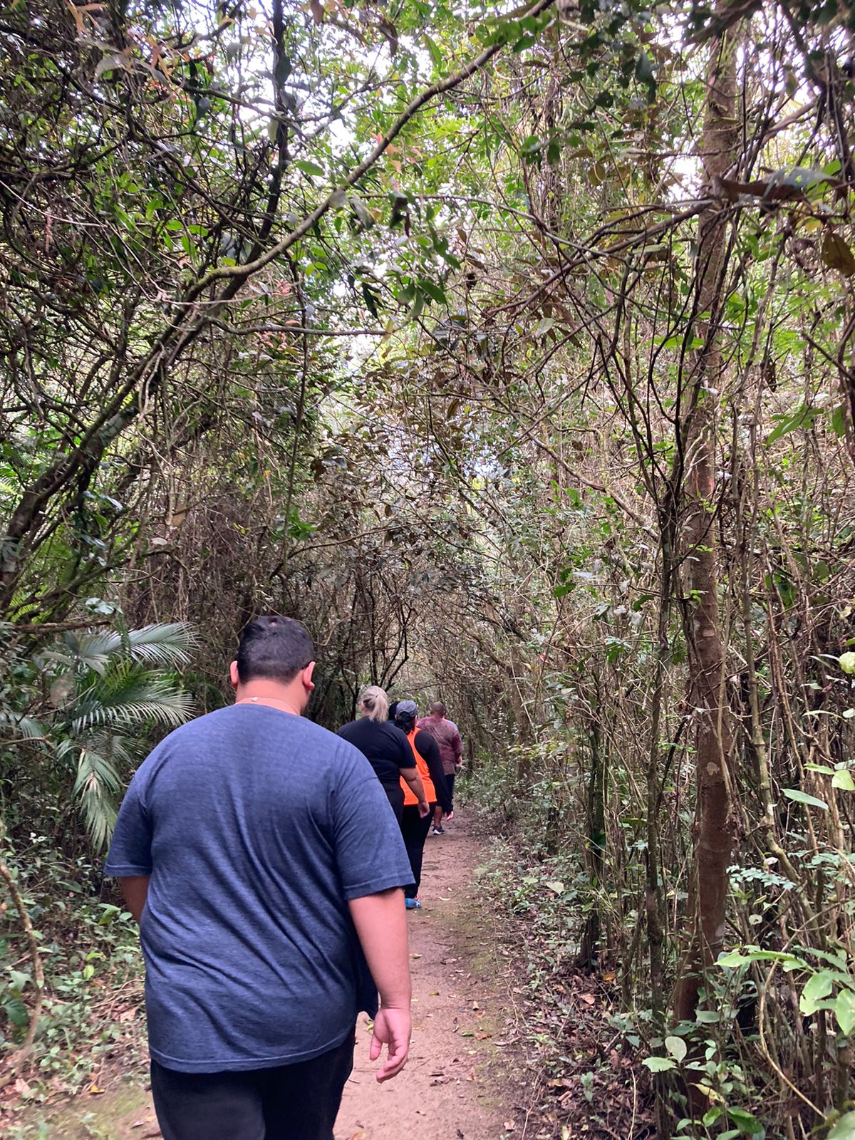 BC lança o Perder para ganhar, Programa de Combate à Obesidade | SC Hoje News Notícias de Santa Catarina - SC HOJE News