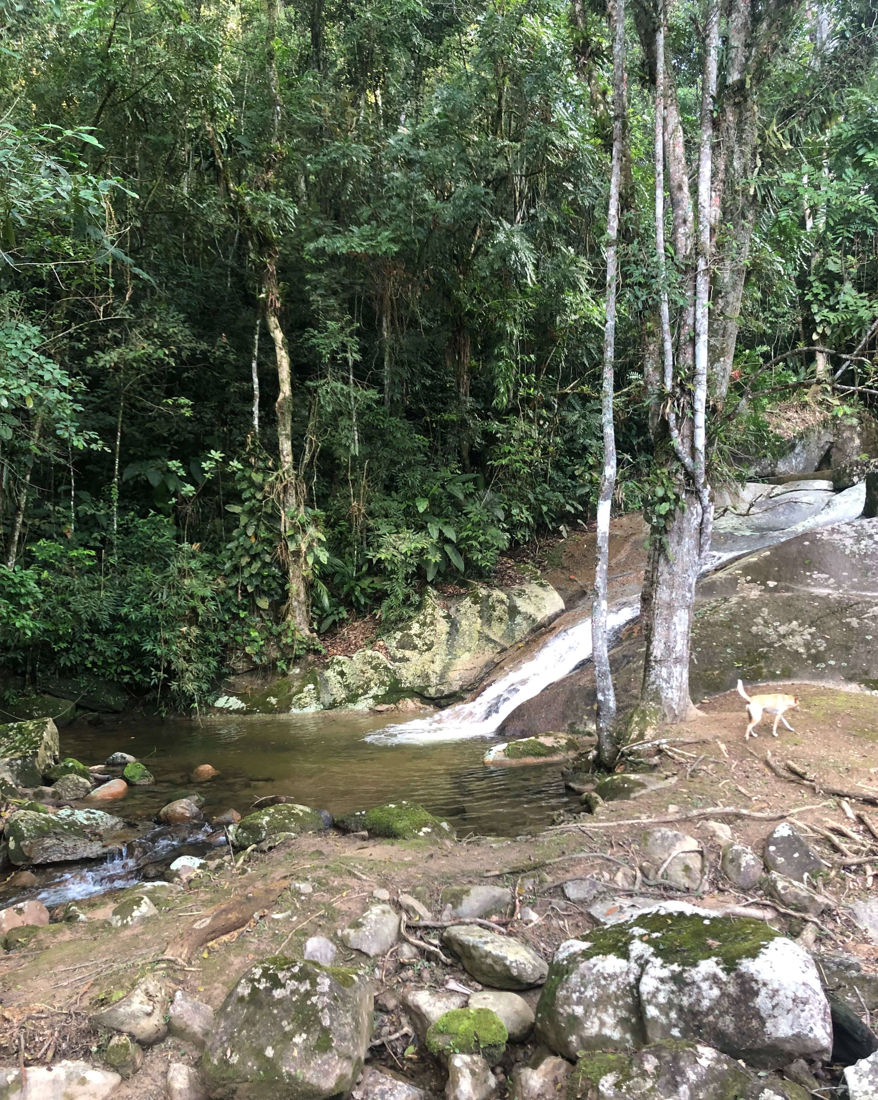 Notícias de Santa Catarina - SC HOJE News