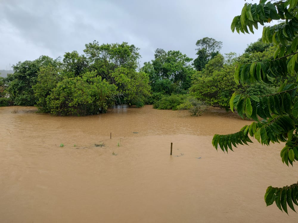 Notícias de Santa Catarina - SC HOJE News