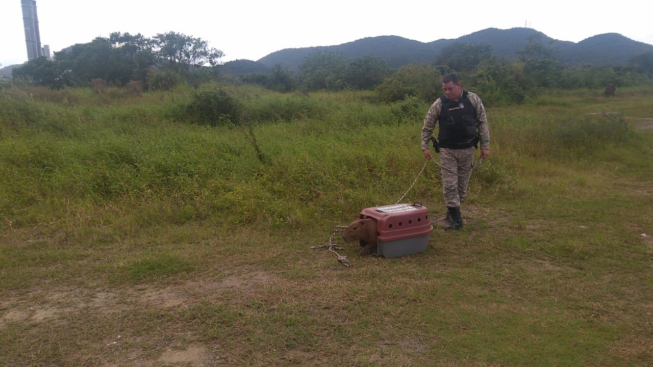 Notícias de Santa Catarina - SC HOJE News