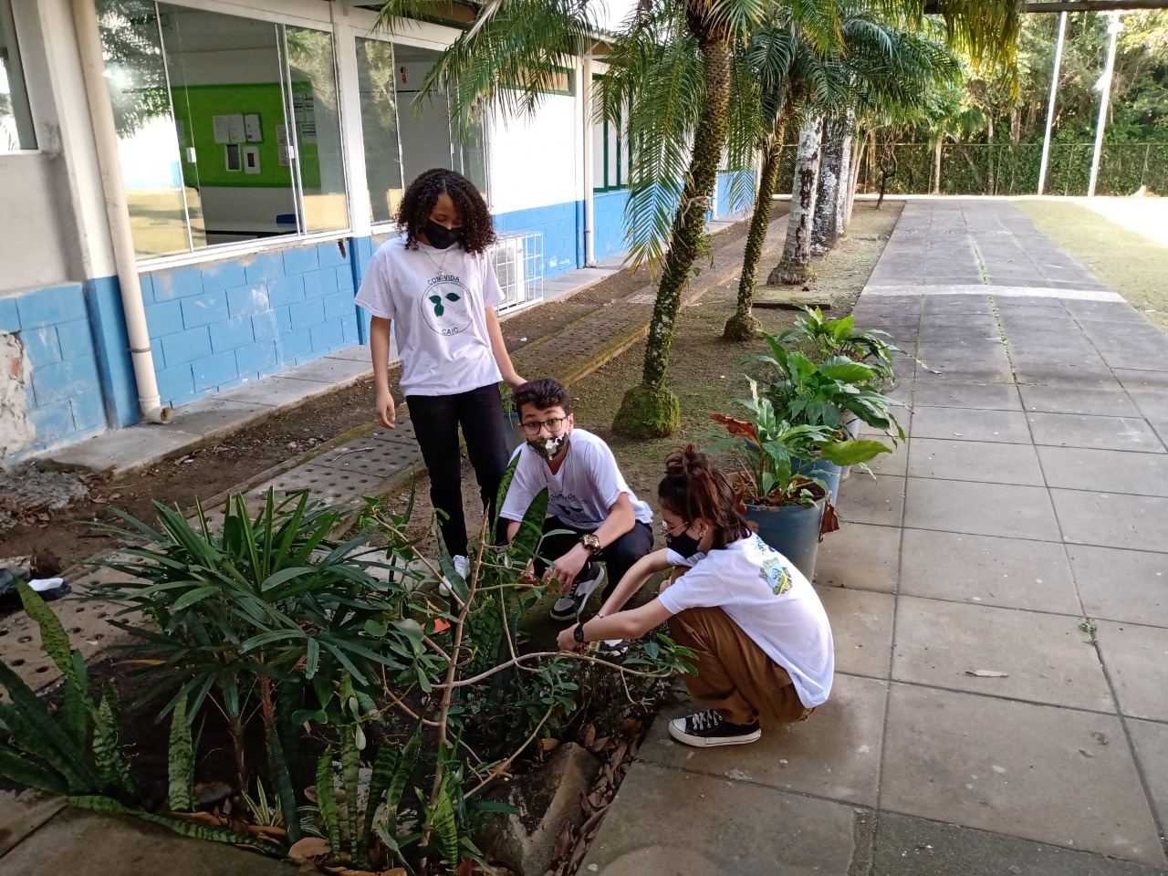 CAIC Ayrton Senna desenvolve projeto de educação ambiental | SC Hoje News Notícias de Santa Catarina - SC HOJE News