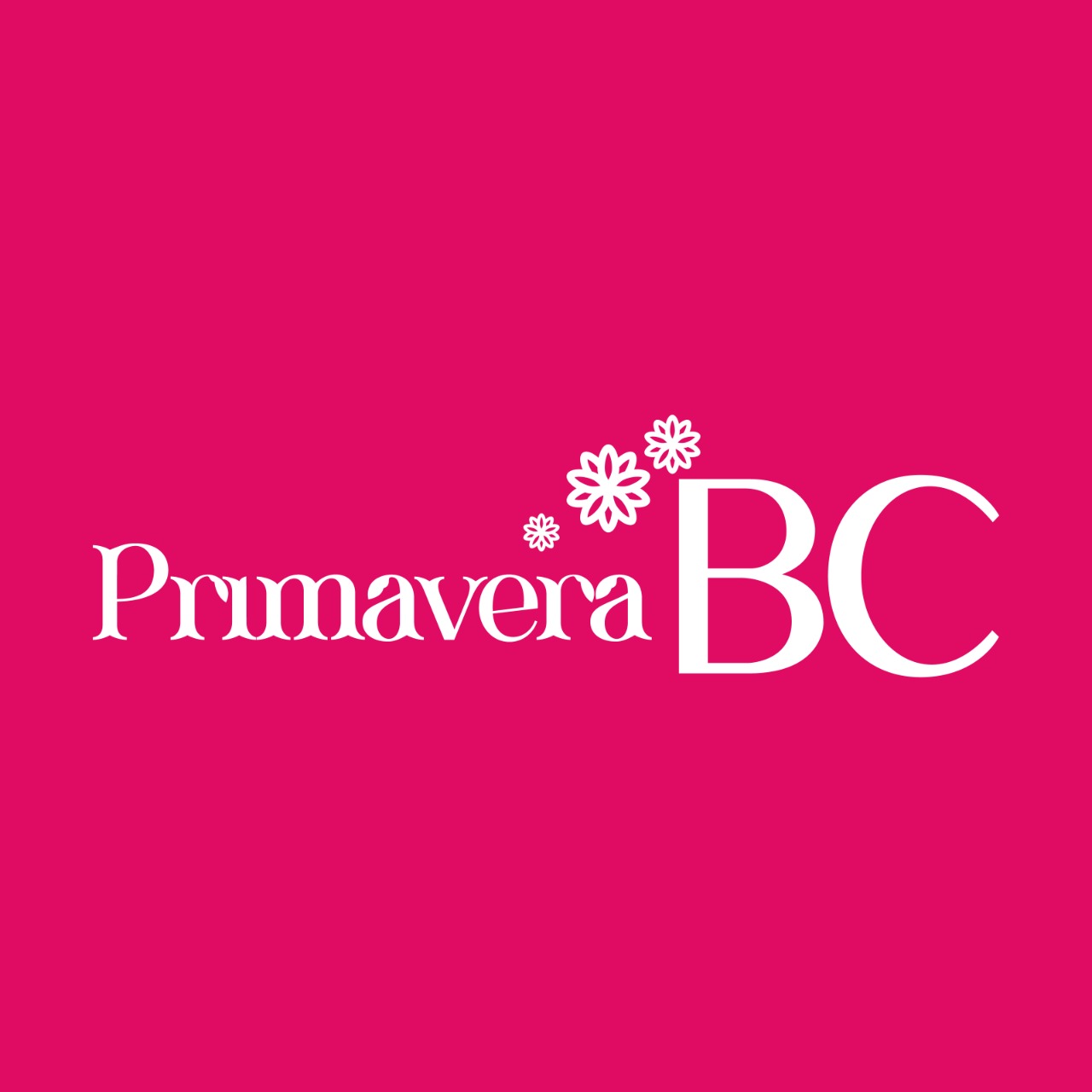 Festival Primavera BC começa neste sábado em Balneário Camboriú | SC Hoje Notícias de Santa Catarina - SC HOJE