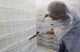 Notícias de Santa Catarina - SC HOJE