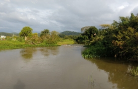 Notícias de Santa Catarina - SC HOJE News