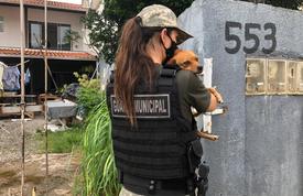 Notícias de Santa Catarina - SC HOJE