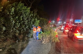 Notícias de Santa Catarina - SC HOJE News